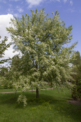 Similar image 6355380