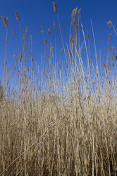 Similar image 6355383