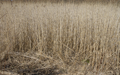 Similar image 6355386