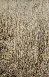 Similar image 6355387