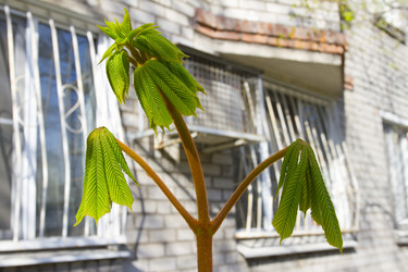 Similar image 6355388