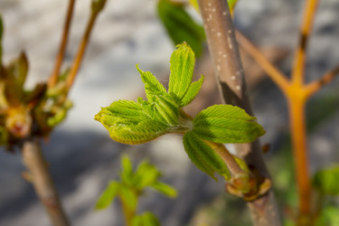 Similar image 6355389