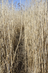 Similar image 6355391