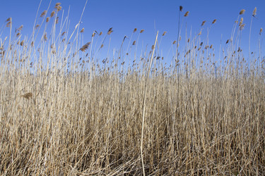 Similar image 6355406