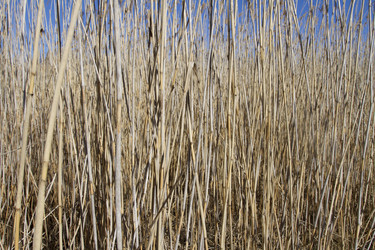 Similar image 6355411