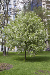 Similar image 6355633