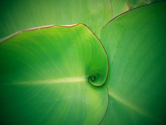 Similar image 6355651