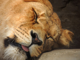 Similar image 6355653