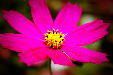 Similar image 6355655