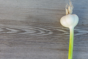 Similar image 6355682