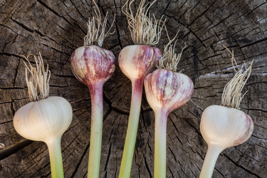 Similar image 6355683