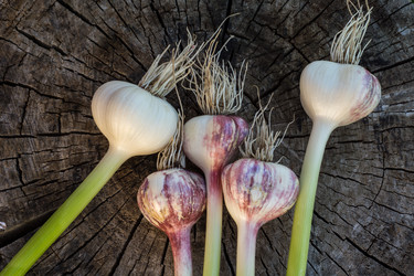 Similar image 6355684