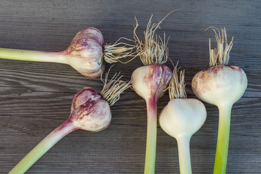 Similar image 6355685