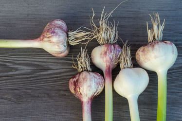 Similar image 6355686