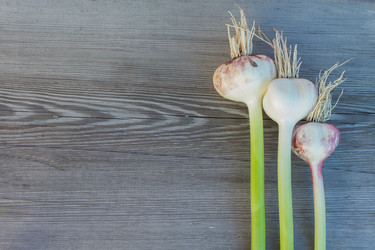 Similar image 6355687