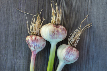 Similar image 6355688