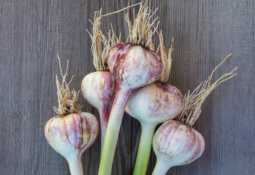 Similar image 6355689