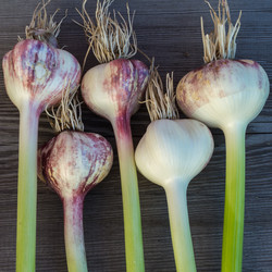 Similar image 6355690