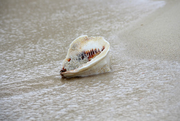 Similar image 6355814