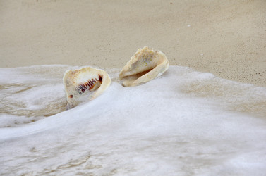 Similar image 6355815