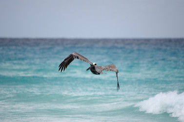 Similar image 6355818