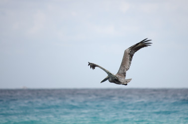 Similar image 6355819