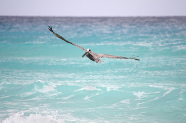 Similar image 6355820