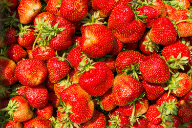 Similar image 6355832