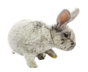 Similar image 6355837