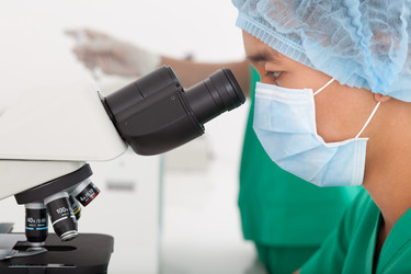 Similar image 6355939