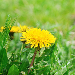 Similar image 6356209