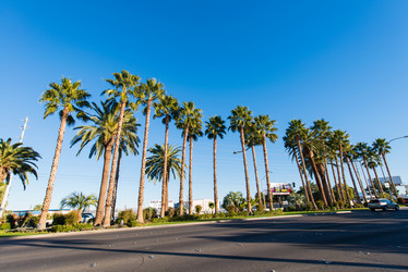 Similar image 6356493