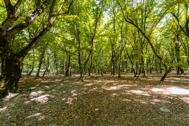 Similar image 6357474