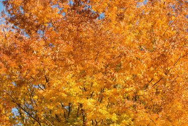 Similar image 6357785