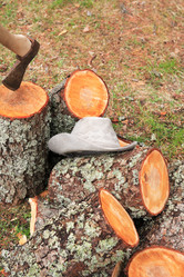 Similar image 6357813