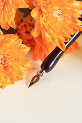 Similar image 6357836