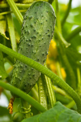 Similar image 6357838