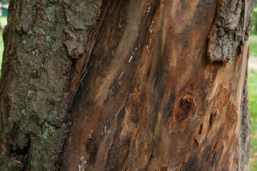 Similar image 6357842