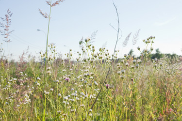 Similar image 6357843