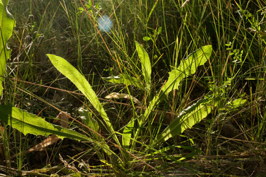 Similar image 6357844