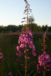 Similar image 6357847