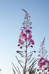 Similar image 6357848