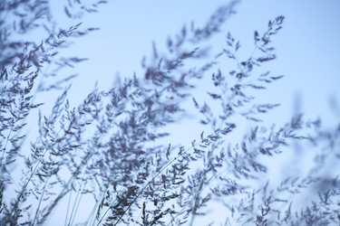 Similar image 6357849