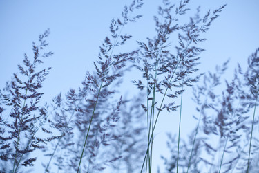 Similar image 6357850