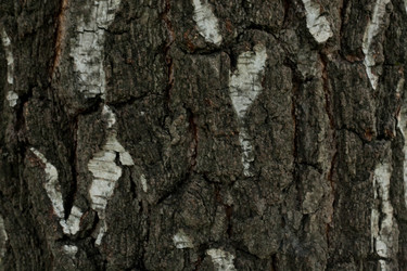 Similar image 6357851