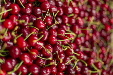 Similar image 6357855