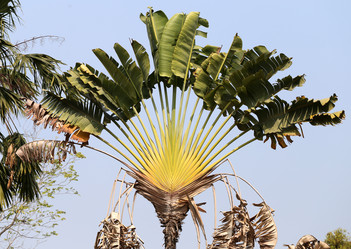 Similar image 6357857