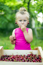 Similar image 6357889