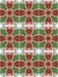 Similar image 6357931