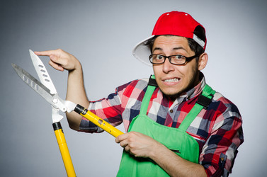 Similar image 6358001